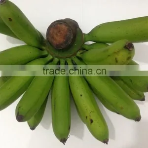 Vietnam Fresh Baby Banana thumbnail-1