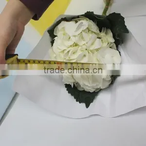 China Hotsell Flower Gift Hydrangea thumbnail-3