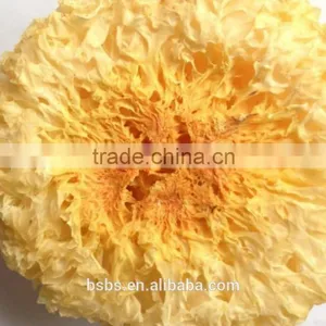 Low Price Tremella Chinese White Fungus thumbnail-3