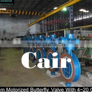 Motorized Offset Butterfly Valves thumbnail-1