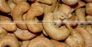 High Quality Vietnam Cashew Nut thumbnail-5