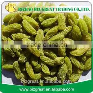 Air Dried AD Green Raisin With Factory Price thumbnail-1