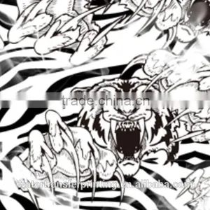 Water Transfer Printing Film thumbnail-1