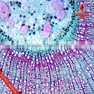 100pieces Set Mixed Prepared Slides thumbnail-4
