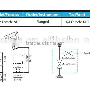 Oil Instrument Manifolds Stainless Steel 2-valve Manifolds thumbnail-5