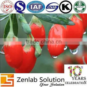 Antioxidant Wolfberry Organic Extract thumbnail-1