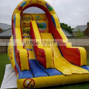 Inflatable Slide for Children/2016 Summer Popular Inflatable Party Slide thumbnail-1