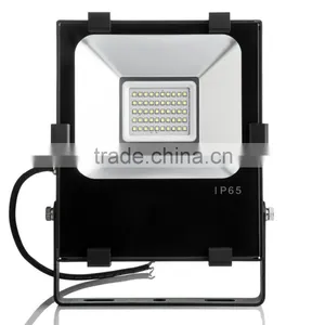 Hot Sale 50w Led Flood Light IP65 SMD Bridgelux 12 Volt Led Lights Cricket Live thumbnail-3