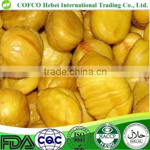 Chestnut thumbnail-1