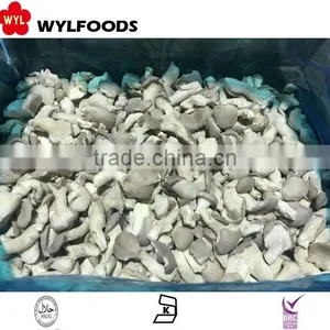 Frozen Oyster Mushrooms Wholesales Price New Season thumbnail-1