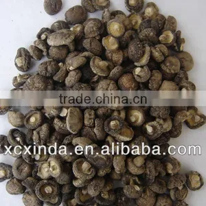 Dried Small Mushroom thumbnail-1
