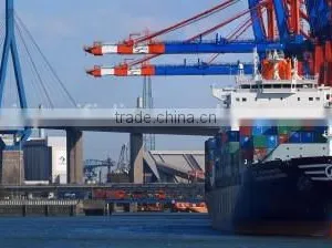 Bulk Cargo Handling in Russian Far East Ports thumbnail-3