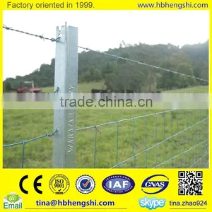 Hot Dipped Galvanized Grassland Post Professional Supplier thumbnail-5