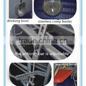 Cages for Sow Farrowing and Farrowing Crate for Sale thumbnail-6