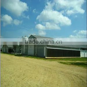 Economical Poultry House thumbnail-1
