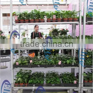 334 Glasshouse Trolley thumbnail-5