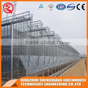 Agriculture Glass Greenhouse With Hot Dip Galvanized Frame for Sale thumbnail-1