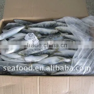 Frozen Whole Round Sardine thumbnail-1