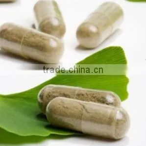 GMP Factory Ginkgo Biloba Extract 24/6 Yajiaotong Flavone 24% Lactones 6% Ginkgobiloba Capsule Ginkgo Biloba Tablet thumbnail-1