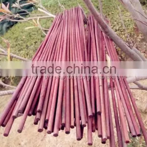 Bamboo Garden Canes Growing Sticks for Planting Support DYED BROWN thumbnail-1