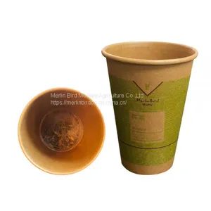 Chinese Herbal Tea Leaves Flower Tea in Cups thumbnail-4