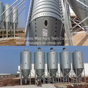 High Quality Automatic Pig Farm Design Floor Feeding System Equipment thumbnail-1