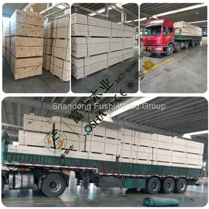 Poplar Lvl for Pallet thumbnail-5