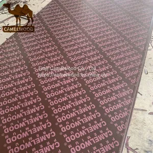 Cheap Film Faced Plywood Formwork Plywood for Concrete thumbnail-2