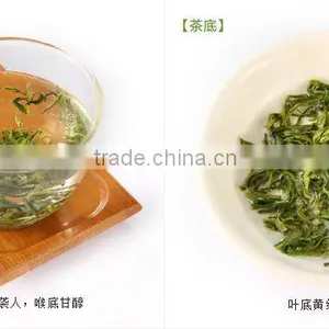 Biluochun Green Tea,piluochun thumbnail-5