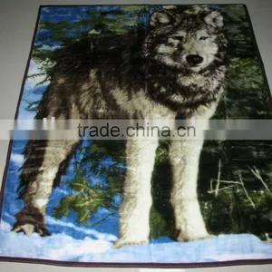 100%polyester Printed Blanket thumbnail-1