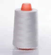 Ne29/2 Cotton Wrapped Polyester Sewing Thread thumbnail-1