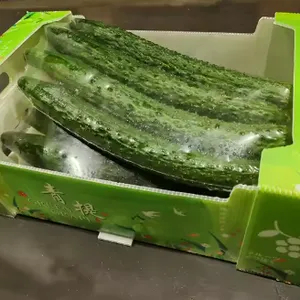 Custom Foldable Plastic Corrugated Boxes – Eco-Friendly Transport Packaging for Farm Products thumbnail-2