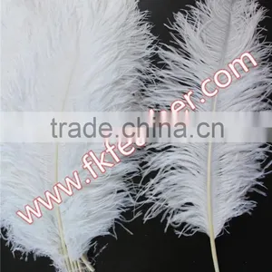 Natural Craft Feather Big White Ostrich Feather For Wedding And Party Decoration 60cm-65cm thumbnail-1
