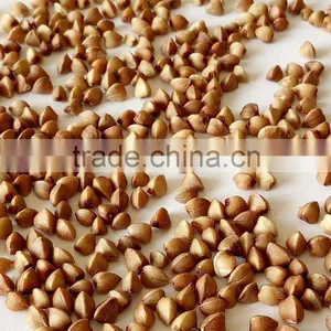 Brown Color and Dried Style Roasted Buckwheat Groats thumbnail-1