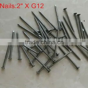 Hot Sale Manufacturer 1-6 Inch Common Nail Galvanized Nail thumbnail-3