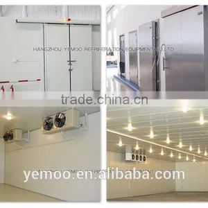 Hangzhou Yemoo Banana Cold Storage With Door for Sale thumbnail-2
