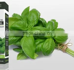 Basil Oil thumbnail-2