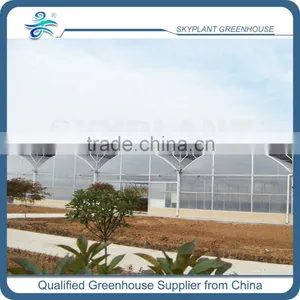 PE Film Plastic Horticultural Green House thumbnail-2
