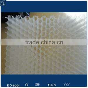 Corrugated pp Hollow Sheet thumbnail-6
