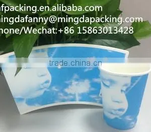 pe Coated Disposable Paper Cup Sheet thumbnail-2