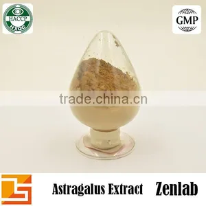 Hot Selling High Quality Polysacchrides 90% Astragalus Extract thumbnail-6