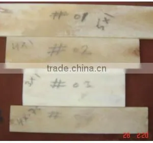 SIXTH SENSE Real Horn Natural Plates thumbnail-5