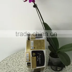 Factory Price and High Quality Red Wine Label Printed Self- Adhesive Labels Stickers thumbnail-2