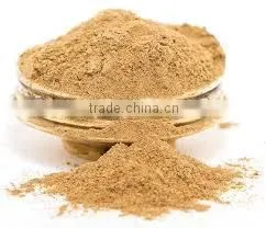 GINGER POWDER SPRAY DRIED SPICES thumbnail-1
