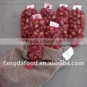 New Crop Chinese Chestnut thumbnail-1