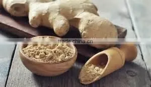 Ginger Ground thumbnail-4