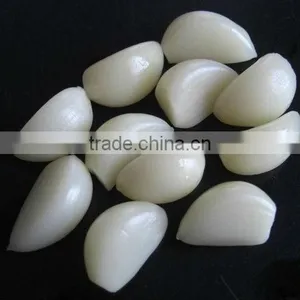 Garlic in Drum thumbnail-1