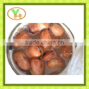 Canned Broad Beans thumbnail-2