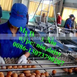 Automatic Egg Packing Machine/egg Tray Packaging Machine/egg Grading Machine for Packing thumbnail-5