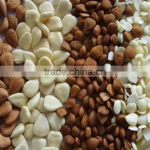 Apricot Kernels thumbnail-4